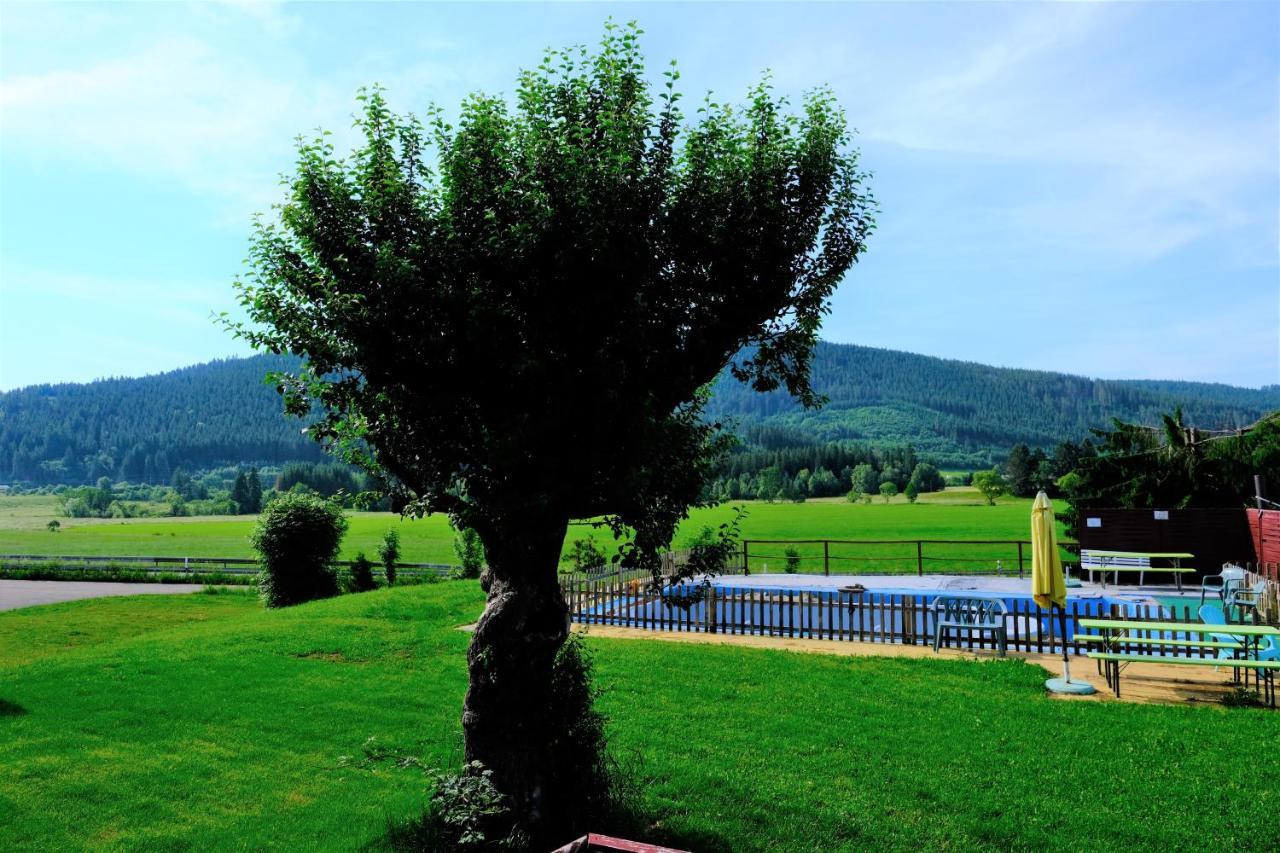 B Und B Titisee Hotel Sonnenmatte Nahe Badeparadies Exteriér fotografie